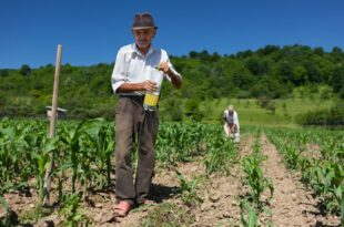 Projeto isenta trabalhador rural de multa para aderir ao Regime Geral de Previdência Social 